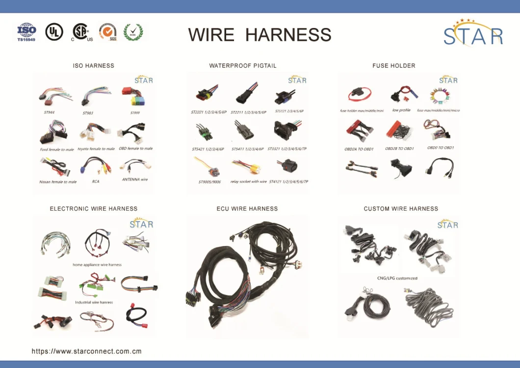 Manufacture of Plastic Delphi 2 Pin Automotive Connectors 12015792 12010973